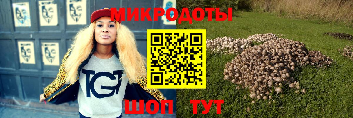 Соль-Илецк  купить наркотик  Вход с VPN  Псилоцибиновые грибы Cubensis 