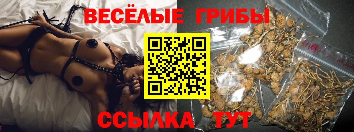 Каннабис  Соль-Илецк  Вход с VPN  Меф  Кокаин  МЕФ   Гашиш 